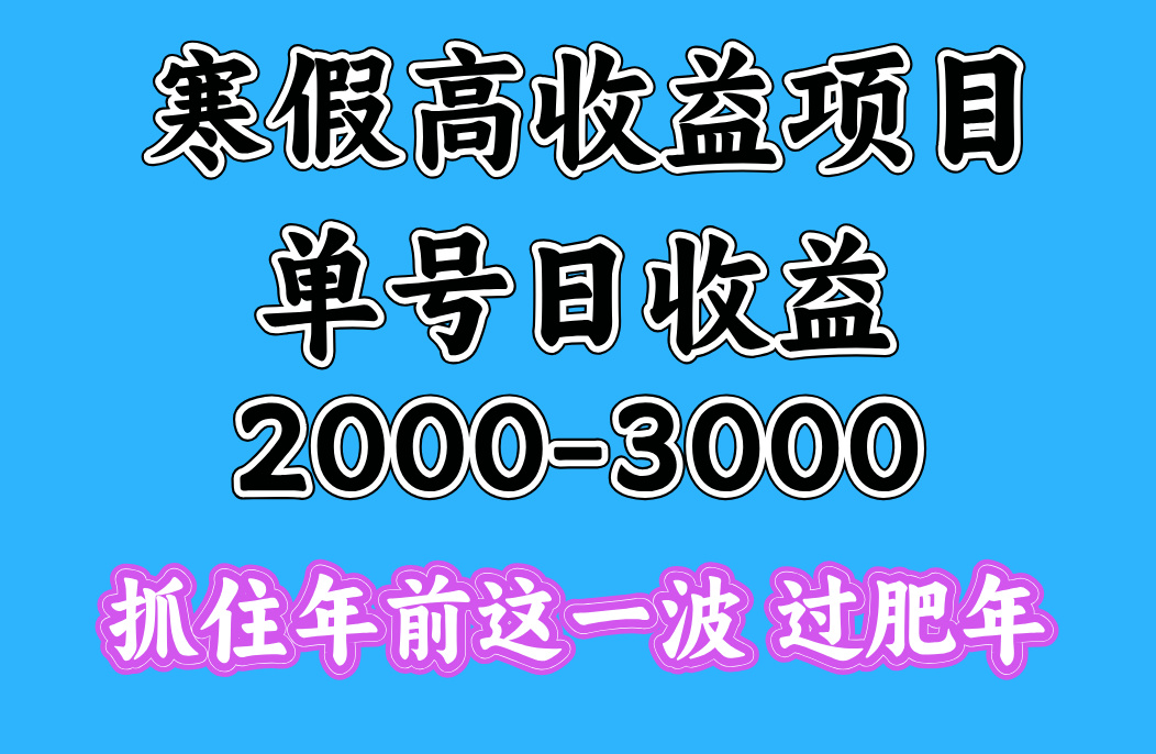寒假年前搞钱副业:一天收益2000-3000+,抓住这波红利期别错过