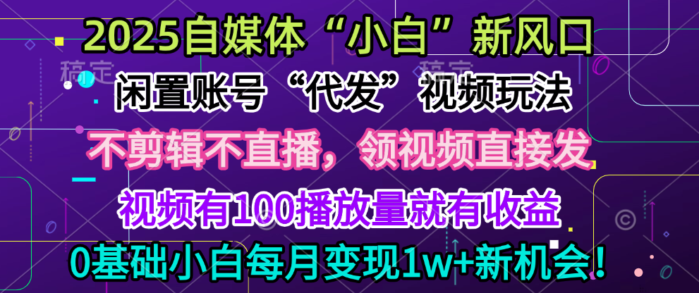 2025闲置视频账号一键代发:0粉不实名不剪辑,小白月躺赚5w+日入300+