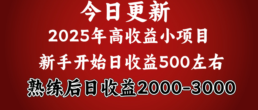 2025开年赚钱项目:新手日赚500+,熟练后日收益2000+