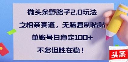 全网首发!微头条野路子2.0玩法:相亲赛道无脑搬砖,复制粘贴单账号日稳定300+保姆级教程