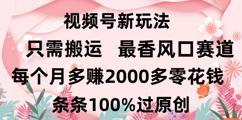 2024视频号副业风口:小白日入2000+,条条100%过原创,新手轻松上手赛道