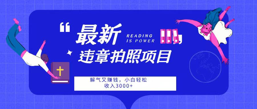 2024最新违章拍照项目:随手拍解气又赚钱,月入3000攻略