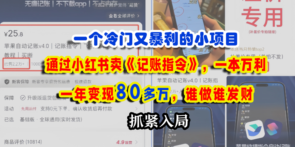 小红书卖《记账指令》:冷门暴利小项目,一年变现80万+,一本万利小白指南