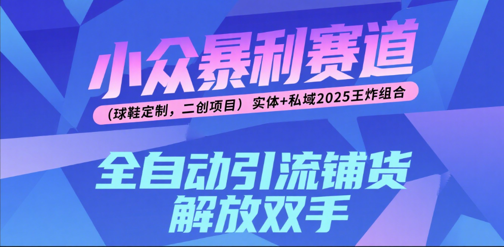 楠:2025年小众暴利创业赛道!球鞋定制二创项目,实体店+私域流量王炸组合
