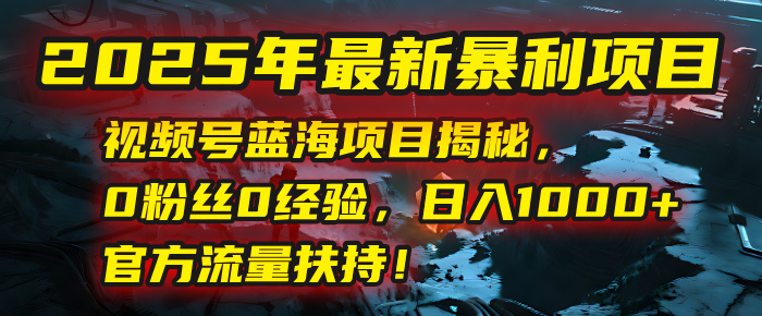 2025年最新视频号蓝海项目:0粉丝0经验日入1000+,官方流量扶持揭秘!