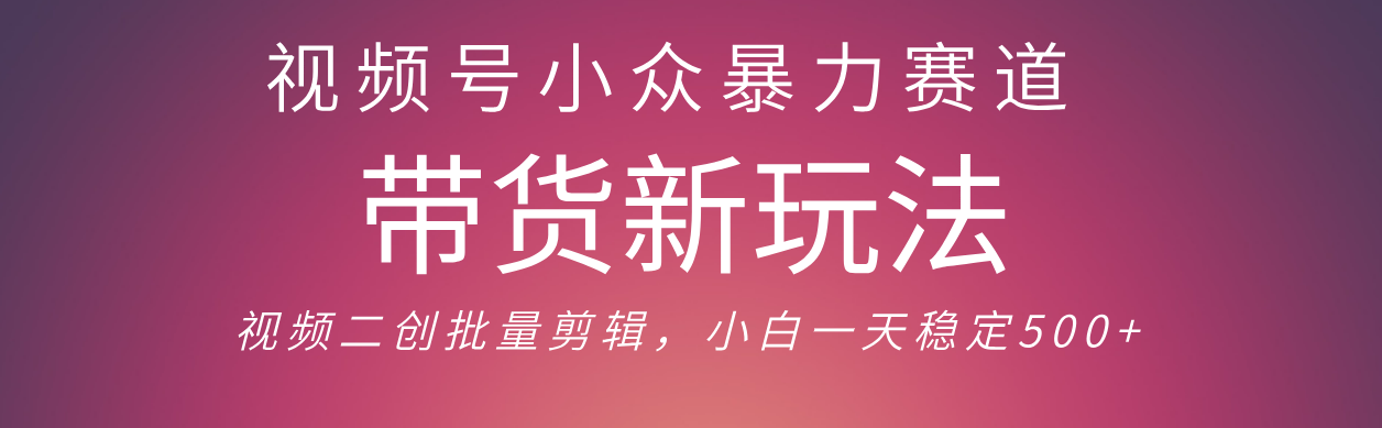 视频号小众暴力赛道:最新带货玩法,小白轻松日入500+保姆级教程