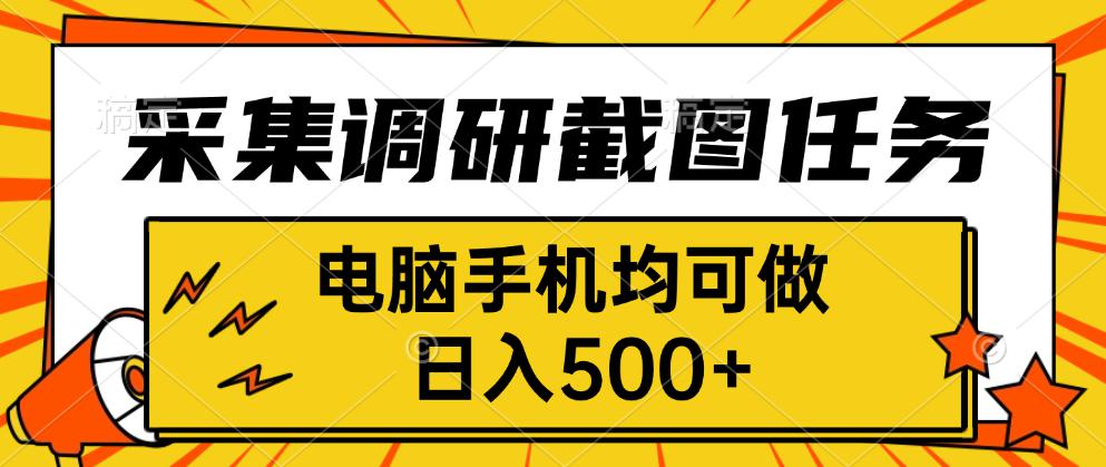2024线上采集调研截图任务:手机电脑均可做,日入500+真实操作指南