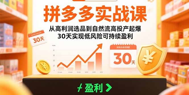 拼多多实战课:30天从高利润选品到自然流量高投产比起爆,低风险可持续盈利指南