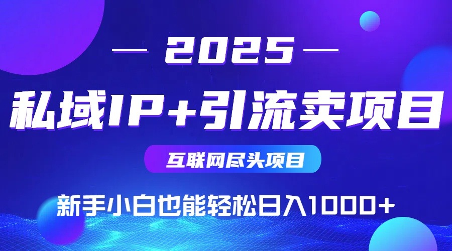 2025网创终极项目:私域IP引流,新手小白在家日入1000+