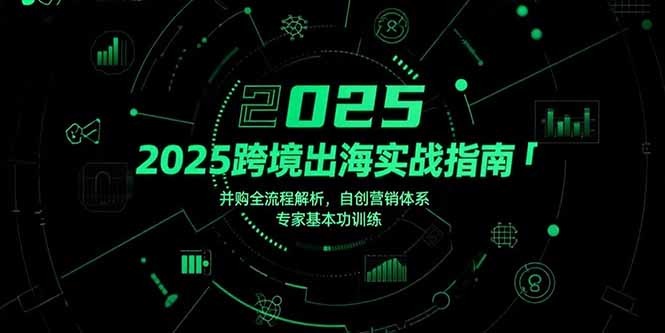 2025跨境出海实战指南:并购全流程解析+自创营销体系搭建+专家基本功训练