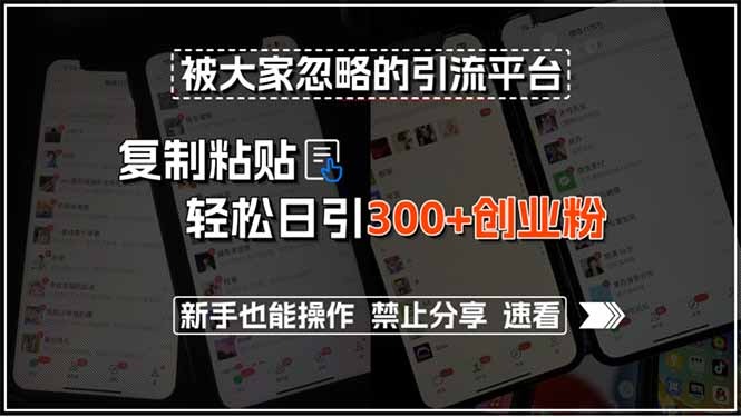 冷门引流平台:复制粘贴日引300+创业粉,新手无门槛操作