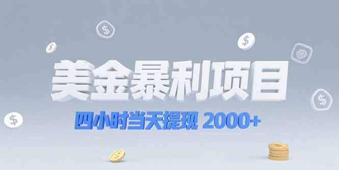 美金暴利项目：4小时当天提现2000+，选对赛道抓住红利机会