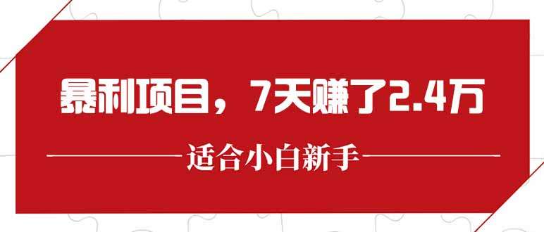 2024最新暴利项目揭秘：每单收益300+，7天赚2.4万，真实案例分享！