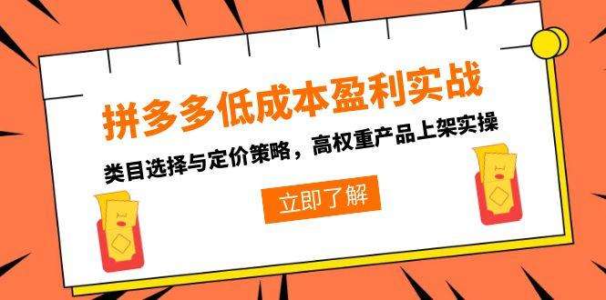 拼多多低成本盈利实战指南：类目选择技巧+定价策略+高权重产品上架全流程实操