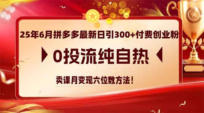 2025年6月拼多多:0投流纯自然日引300+付费创业粉,卖课月变现六位数方法