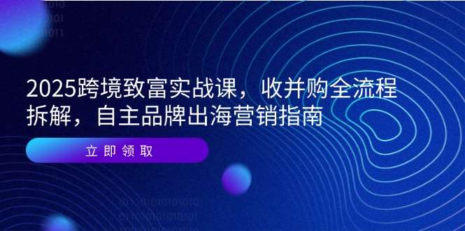 2025跨境致富实战课:收并购全流程拆解+自主品牌出海营销指南