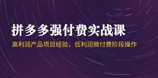 拼多多强付费实战课44期：从低利润微付费操作到高利润产品项目经验全解析