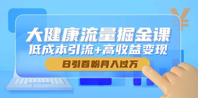 大健康流量掘金指南：低成本引流高收益变现，日引百粉月入过万实战课