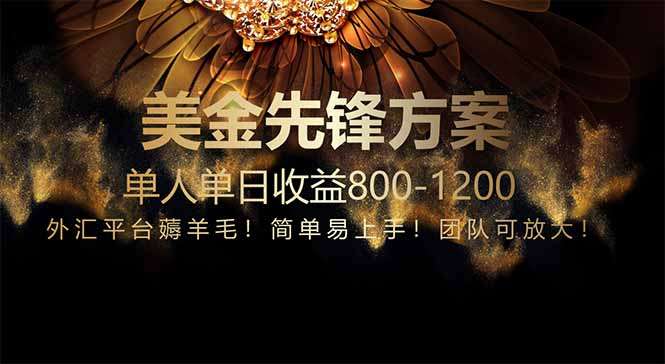 免费技术！小众赛道1年布局=3年努力，每日800+收益实操指南
