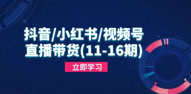 抖音+小红书+视频号+直播带货11-16期课程：快速掌握平台规则，打造爆款内容秘籍