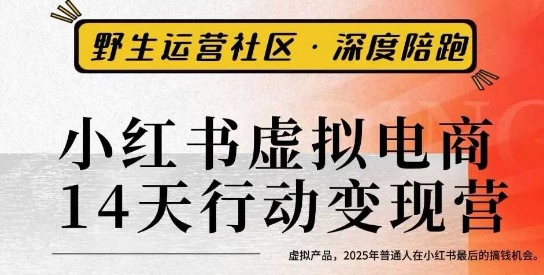 2025年小红书虚拟电商14天变现训练营3.0：普通人抓住最后搞钱机会，虚拟产品从0到1变现指南