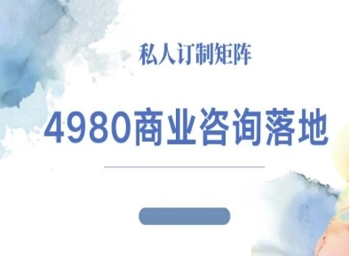 4980商业咨询师IP运营高客单落地课：系统教程教你从0到1打造高转化咨询IP
