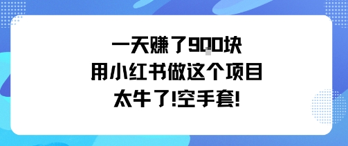 小红书空手套项目：日入9张，零成本小白也能上手！