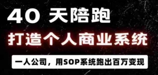 40天陪跑一人公司：用SOP系统打造个人商业系统，百W变现实战