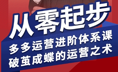 拼多多运营进阶体系课：从零起步到破茧成蝶，9月最新更新运营进阶术