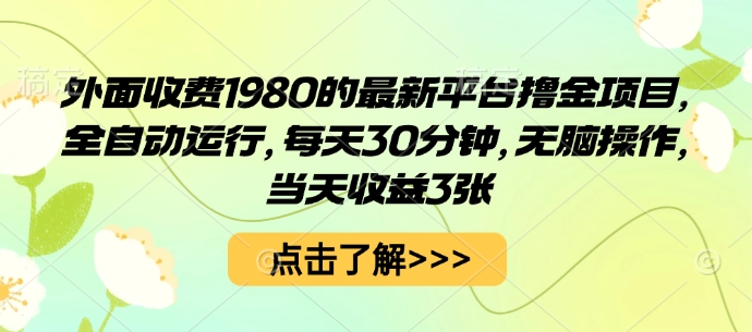 2024最新平台撸金项目深度揭秘：全自动运行每天30分钟，无脑操作当天收益300元（收费1980元内幕）