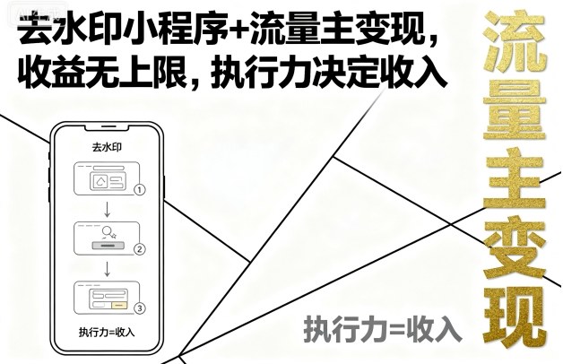 【实操指南】去水印小程序+流量主变现：收益无上限，执行力决定收入天花板