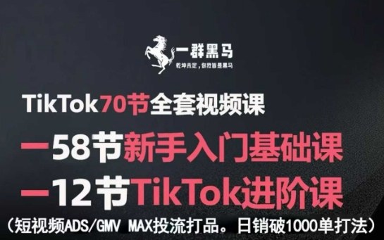 【TikTok全套视频课】新手入门到进阶：ADS-GMV MAX投流打品+日销破1000单实战打法