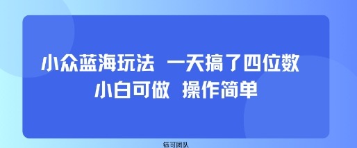 小众蓝海玩法：小白日入四位数，操作简单，新手也能快速上手