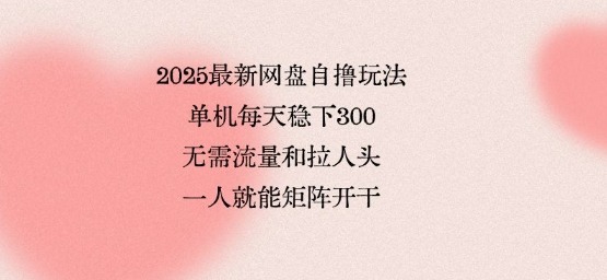 2025最新网盘自撸玩法：单机每天稳下3张，无需流量拉人头，一人轻松矩阵，全网独一份揭秘