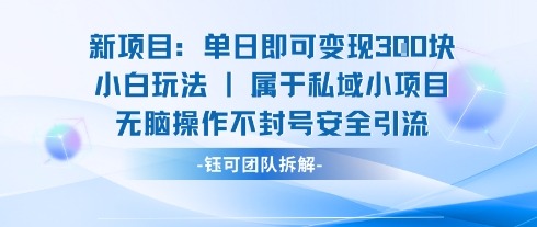 单日变现3张！小白无脑操作新项目，安全引流不封号