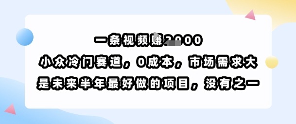 0成本小众冷门赛道！1条视频挣1k，市场需求大，未来半年最好做的项目没有之一