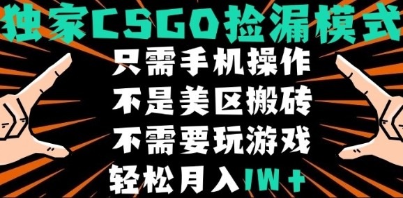CSGO自动捡漏项目：手机操作新手小白轻松月入1W+，非美区搬砖无需懂游戏，最新独家玩法揭秘