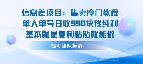 日赚900+信息差项目：冷门教程单人单号，复制粘贴就能做