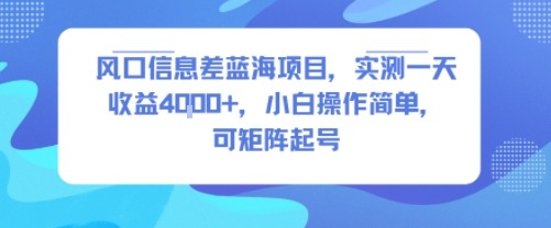 风口蓝海项目：信息差玩法实测，小白操作简单，一天收益4k+可矩阵起号