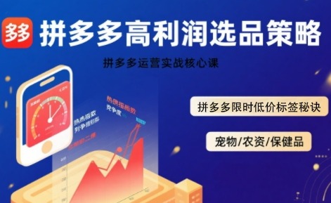 拼多多暴利选品技术实战课：高利润策略+限时低价标签秘诀