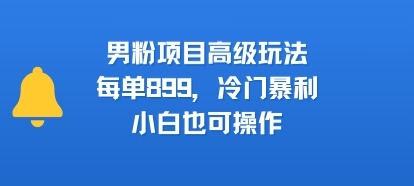 冷门暴利男粉项目！899单高级玩法，小白也能轻松操作