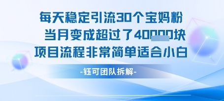每天引流30人，当月赚4W+！小白也能做的超简单项目流程，稳赚不赔