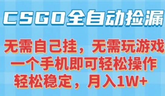 新手小白必看！CSGO自动捡漏项目：手机轻松操作，月入1W+最新独家玩法揭秘
