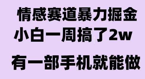 情感暴力项目揭秘：新人小白一周赚2W，长期稳定操作指南
