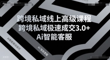 跨境私域线上高阶课程：极速成交3.0+AI智能客服实战