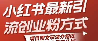 小红书引流创业粉：2024最新项目图文玩法+安全导流私域全攻略