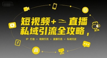 短视频直播引流全攻略：IP打造+视频引流+直播引流+私域沉淀，私域流量增长指南