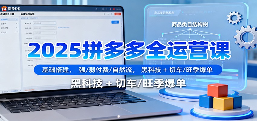 2025拼多多全运营课：基础搭建+强/弱付费+自然流，黑科技+切车技巧，旺季爆单全攻略