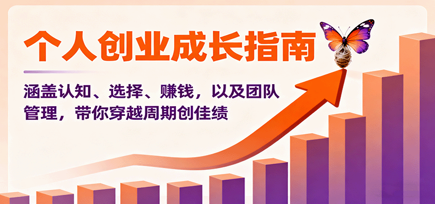 个人创业全攻略：认知+选择+赚钱+团队管理，助你穿越周期稳创佳绩