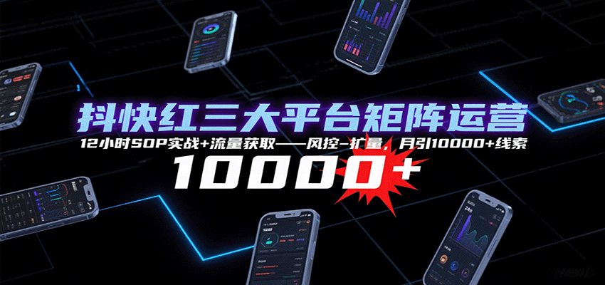 抖音快手小红书三大平台矩阵运营：12小时SOP实战手册，流量获取+风控+扩量全流程，月引10000+线索秘籍